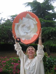 A Saint Clair sur Epte, invention des paraboles satellites en ... paraboles visuelles