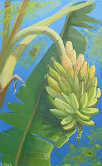 mariage (Bananes et... epis de Ma�s normand)