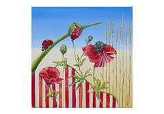 Sylvie Peters (Serans)  coquelicots vikings