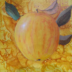 Pomme 1, acrylique sur toile 30 x 30 cm par Djamila (2009)