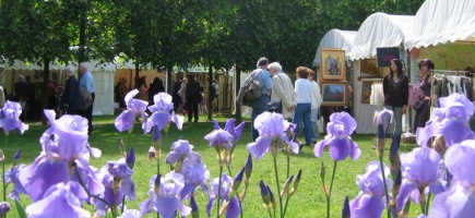 Les journ�es de l'Iris, ch�teau d'Auvers sur Oise, 27 et 28 mai 2006