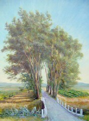 Le panneau rouge kikini au bout du tunnel des pins Saint Pierre de Vassols (pr�s d'Avignon, en bas du Mont Ventoux