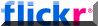 flickr_logo_gamma_gif_v59899.gif