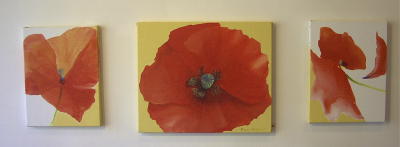 les peintures de coquelicots, telles que disposes sur les murs par Christelle et David. 