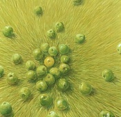 go back to November Index