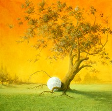     Ike's Tree Re-emerges As Factor in ...