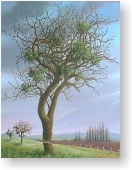 Apples trees being disturbed by fresh plow